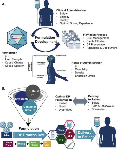 lv formulation and filling|aav formulation development.